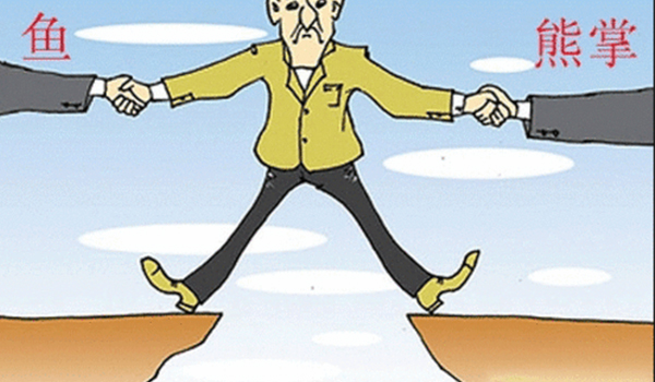 相比“價(jià)格戰(zhàn)”，利泰新電源更注重品質(zhì)